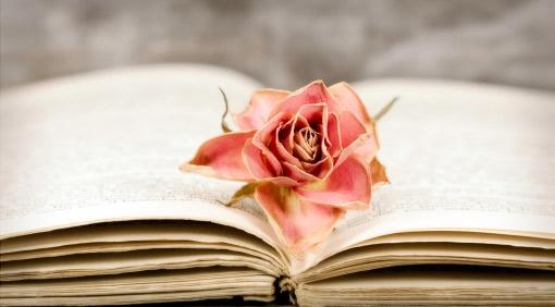 Vilken är den bästa litterära kärleksskildring du läst?